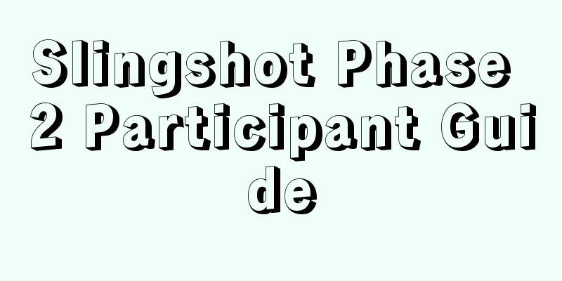 Slingshot Phase 2 Participant Guide