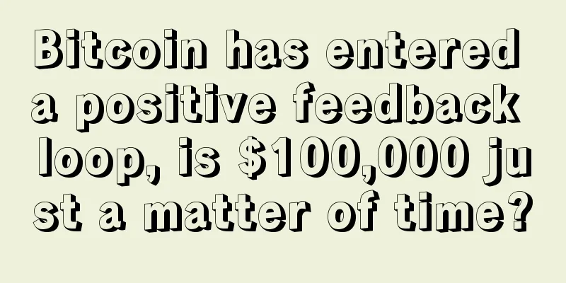 Bitcoin has entered a positive feedback loop, is $100,000 just a matter of time?
