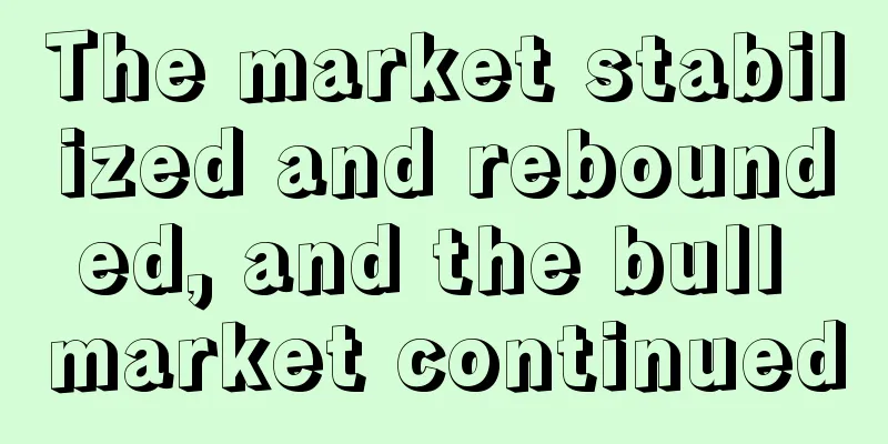 The market stabilized and rebounded, and the bull market continued