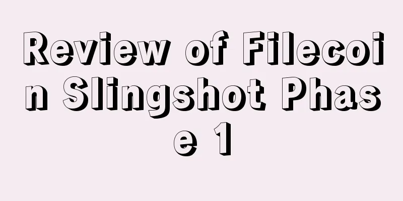 Review of Filecoin Slingshot Phase 1