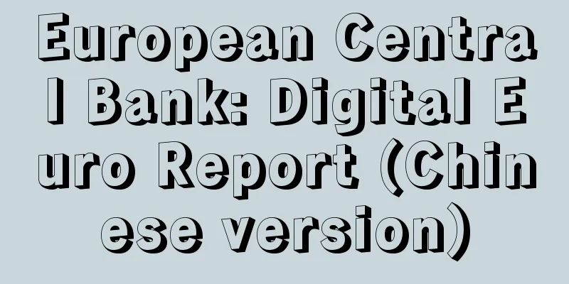 European Central Bank: Digital Euro Report (Chinese version)