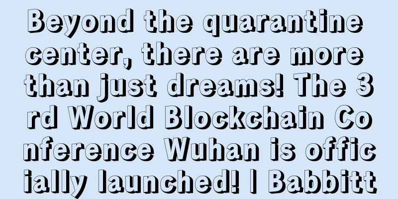 Beyond the quarantine center, there are more than just dreams! The 3rd World Blockchain Conference Wuhan is officially launched! | Babbitt