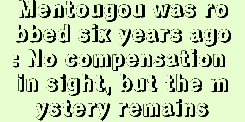 Mentougou was robbed six years ago: No compensation in sight, but the mystery remains