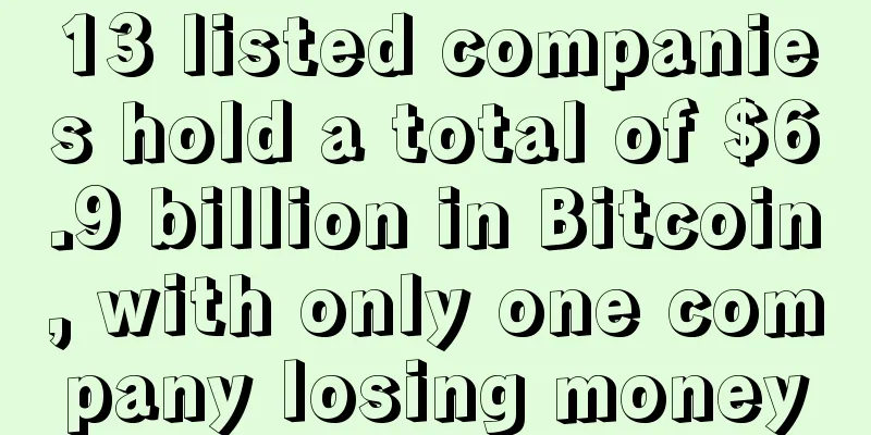 13 listed companies hold a total of $6.9 billion in Bitcoin, with only one company losing money