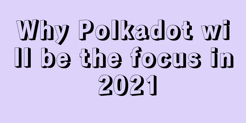 Why Polkadot will be the focus in 2021