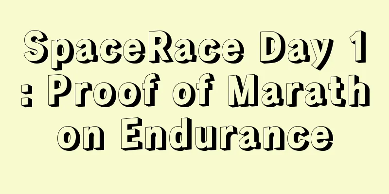 SpaceRace Day 1: Proof of Marathon Endurance