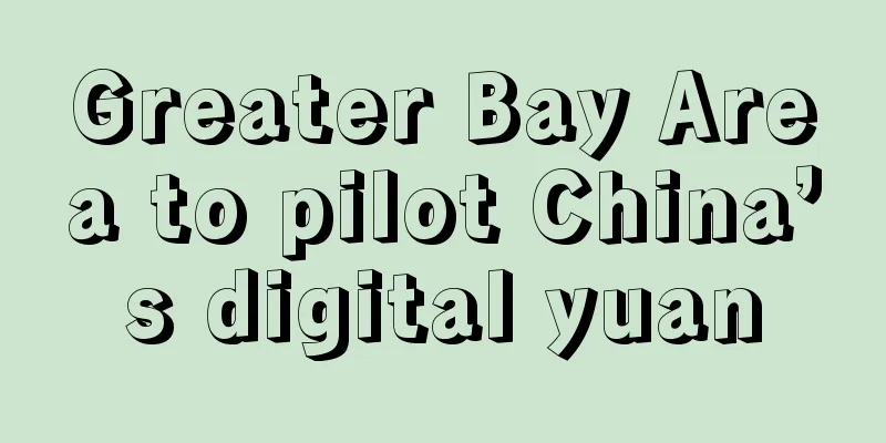 Greater Bay Area to pilot China’s digital yuan