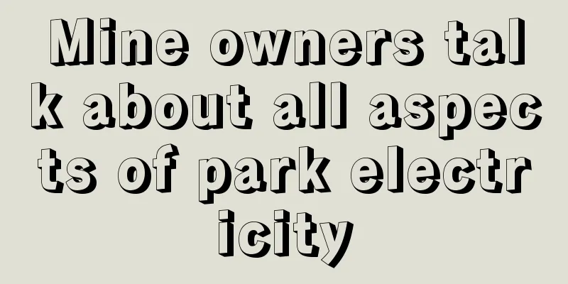 Mine owners talk about all aspects of park electricity