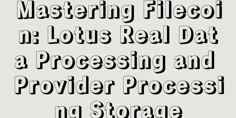 Mastering Filecoin: Lotus Real Data Processing and Provider Processing Storage