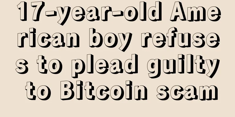 17-year-old American boy refuses to plead guilty to Bitcoin scam
