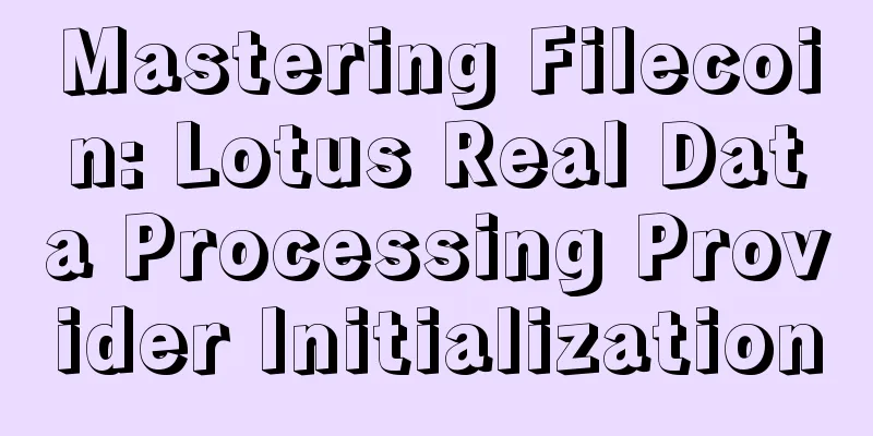 Mastering Filecoin: Lotus Real Data Processing Provider Initialization