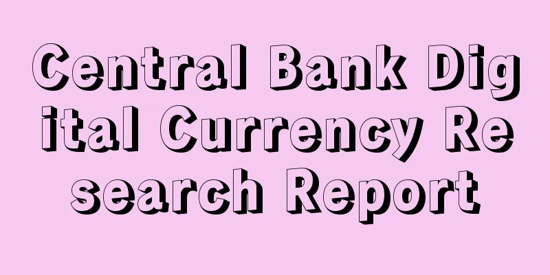 Central Bank Digital Currency Research Report