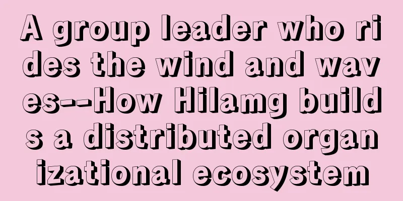 A group leader who rides the wind and waves--How Hilamg builds a distributed organizational ecosystem