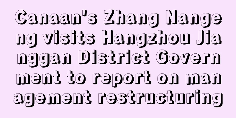 Canaan's Zhang Nangeng visits Hangzhou Jianggan District Government to report on management restructuring