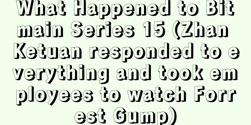 What Happened to Bitmain Series 15 (Zhan Ketuan responded to everything and took employees to watch Forrest Gump)