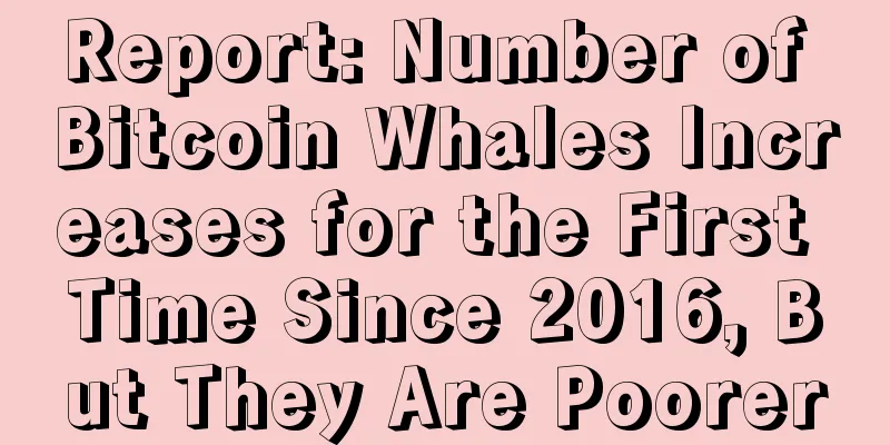 Report: Number of Bitcoin Whales Increases for the First Time Since 2016, But They Are Poorer