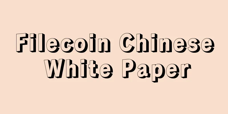 Filecoin Chinese White Paper
