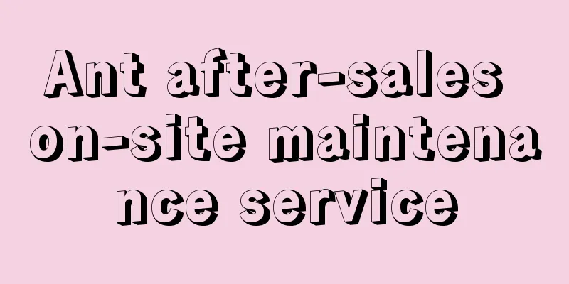 Ant after-sales on-site maintenance service