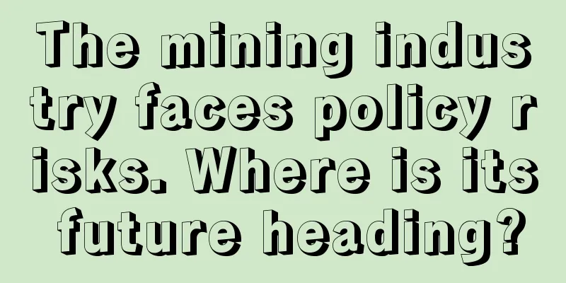 The mining industry faces policy risks. Where is its future heading?