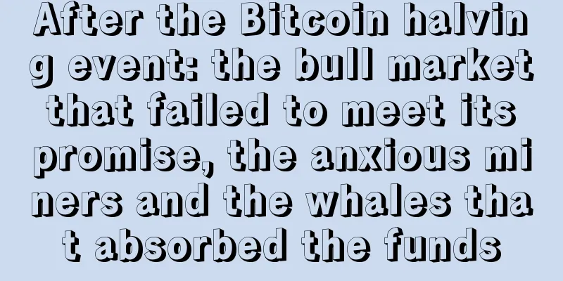 After the Bitcoin halving event: the bull market that failed to meet its promise, the anxious miners and the whales that absorbed the funds