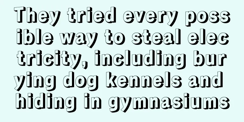 They tried every possible way to steal electricity, including burying dog kennels and hiding in gymnasiums