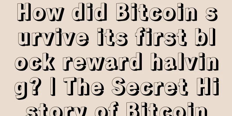 How did Bitcoin survive its first block reward halving? | The Secret History of Bitcoin
