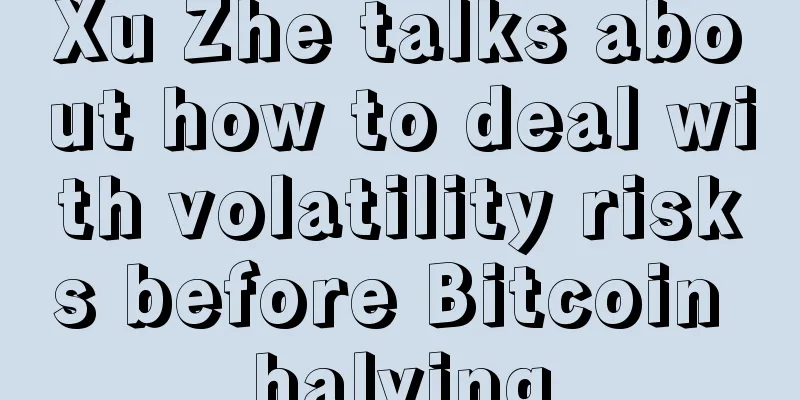 Xu Zhe talks about how to deal with volatility risks before Bitcoin halving