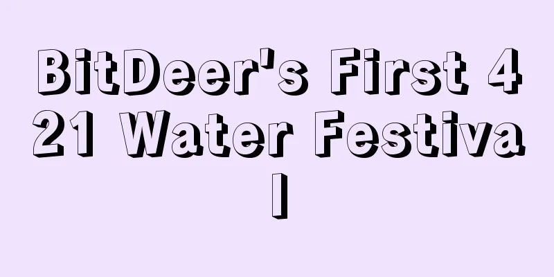 BitDeer's First 421 Water Festival