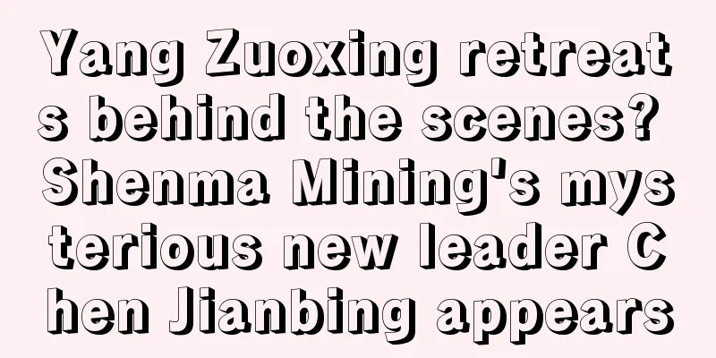 Yang Zuoxing retreats behind the scenes? Shenma Mining's mysterious new leader Chen Jianbing appears
