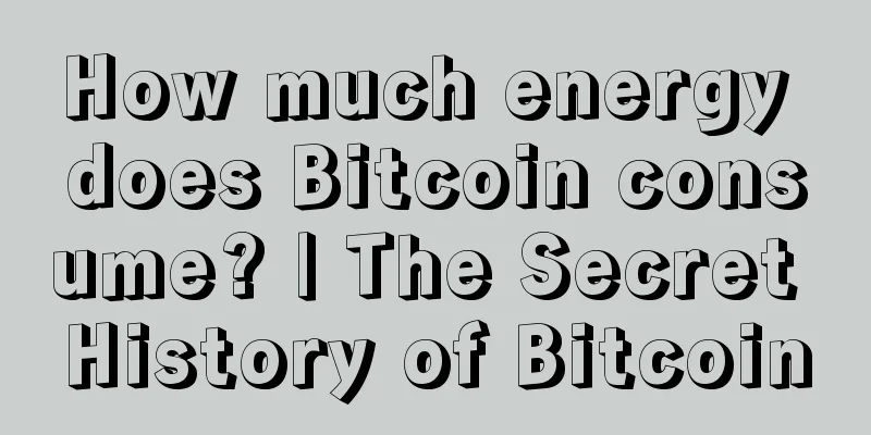 How much energy does Bitcoin consume? | The Secret History of Bitcoin