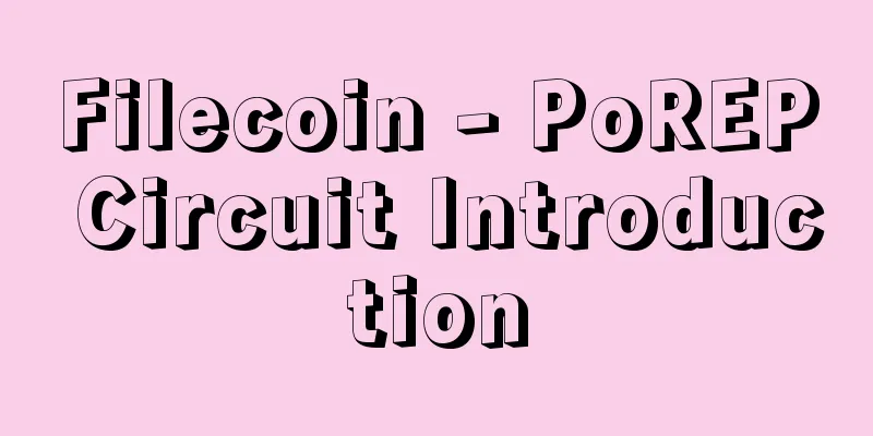 Filecoin - PoREP Circuit Introduction