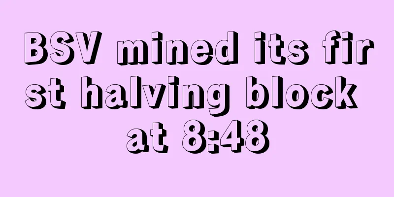 BSV mined its first halving block at 8:48