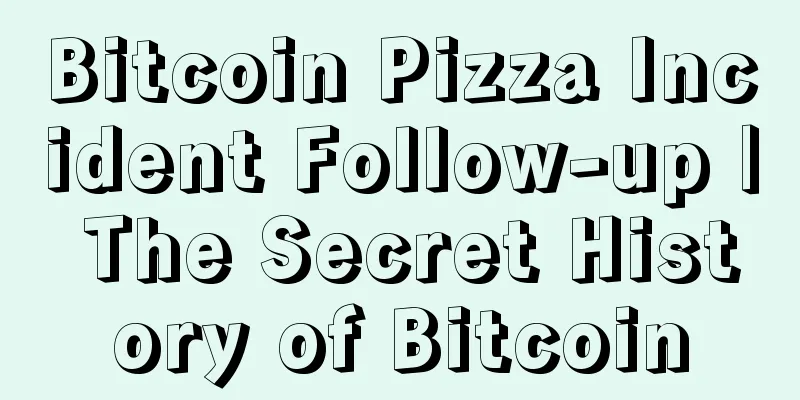 Bitcoin Pizza Incident Follow-up | The Secret History of Bitcoin