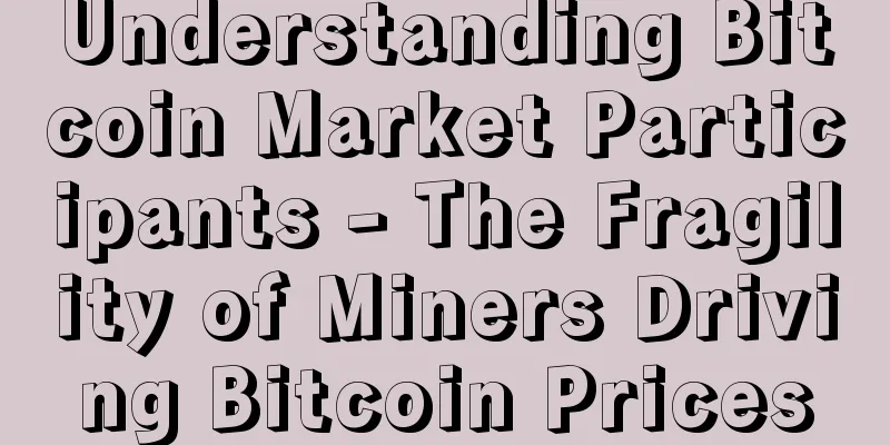 Understanding Bitcoin Market Participants - The Fragility of Miners Driving Bitcoin Prices