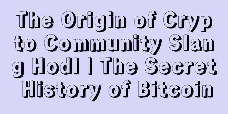 The Origin of Crypto Community Slang Hodl | The Secret History of Bitcoin