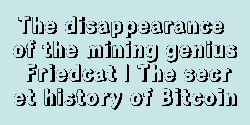 The disappearance of the mining genius Friedcat | The secret history of Bitcoin