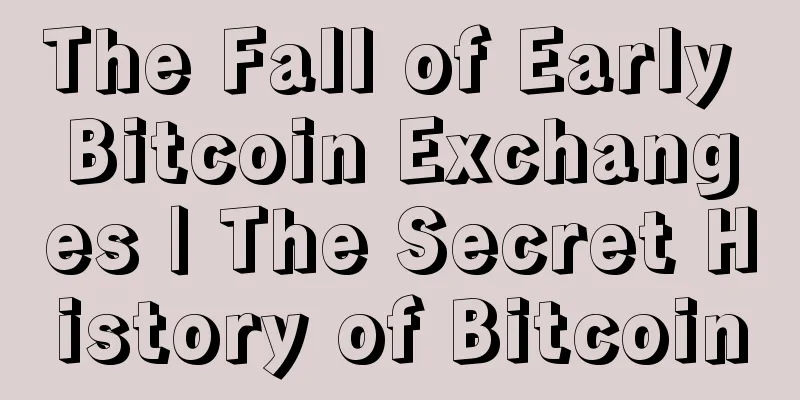 The Fall of Early Bitcoin Exchanges | The Secret History of Bitcoin