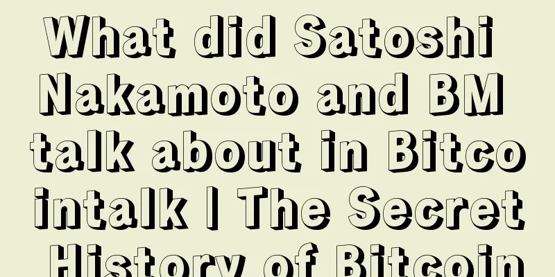 What did Satoshi Nakamoto and BM talk about in Bitcointalk | The Secret History of Bitcoin