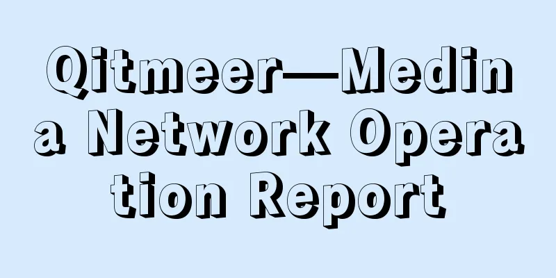 Qitmeer—Medina Network Operation Report