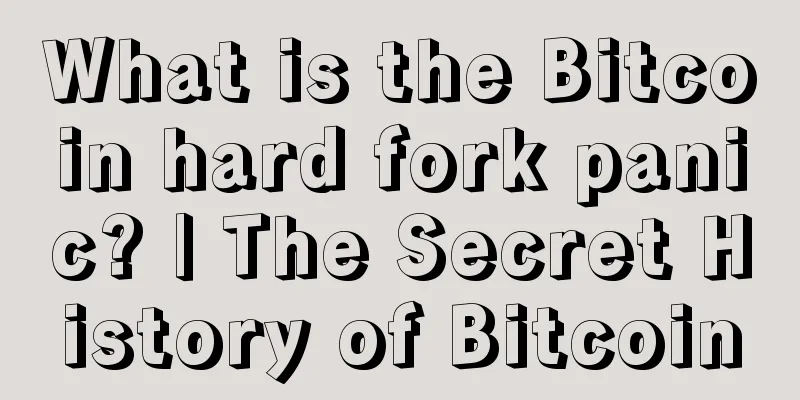 What is the Bitcoin hard fork panic? | The Secret History of Bitcoin