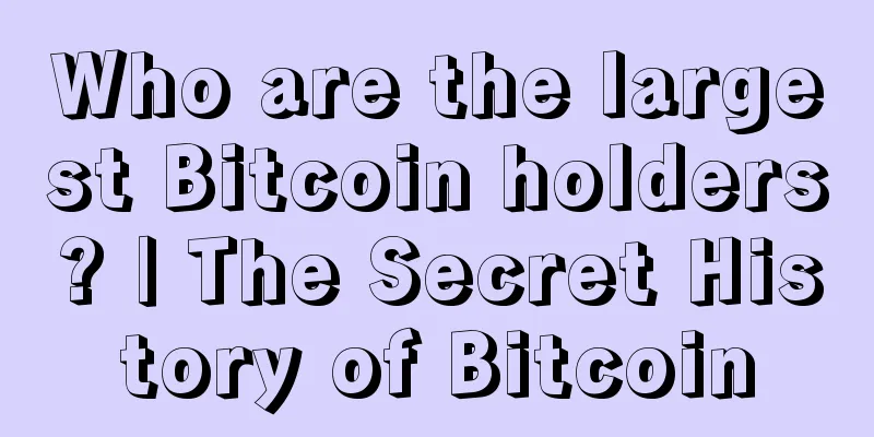 Who are the largest Bitcoin holders? | The Secret History of Bitcoin