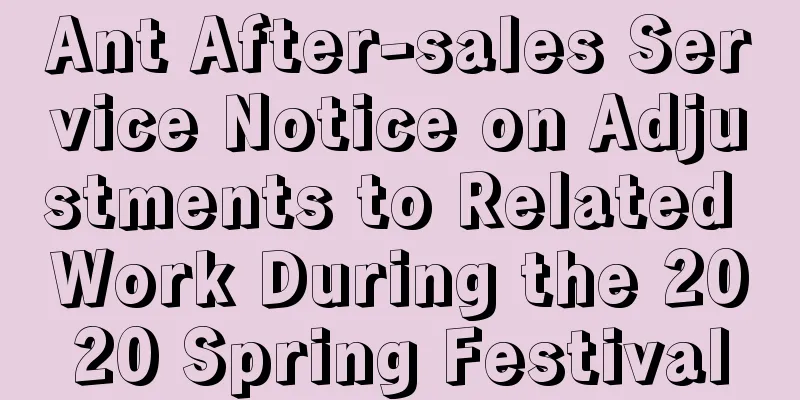 Ant After-sales Service Notice on Adjustments to Related Work During the 2020 Spring Festival