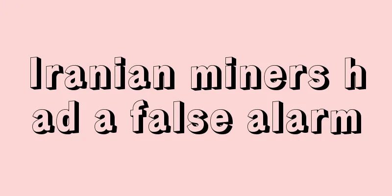 Iranian miners had a false alarm