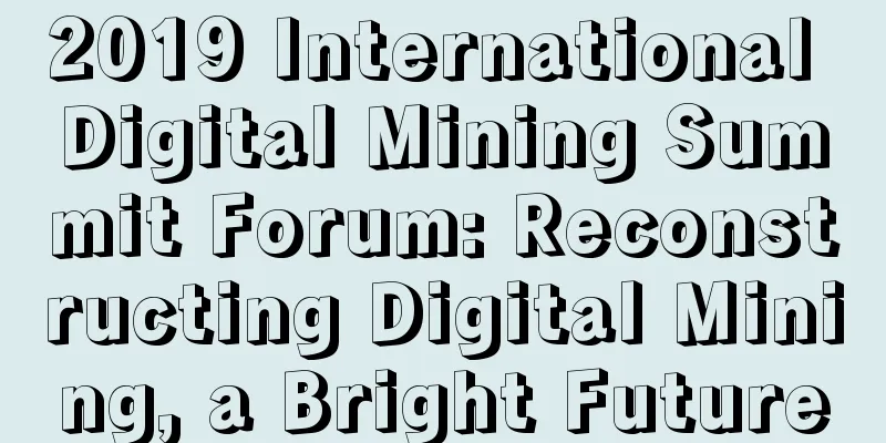 2019 International Digital Mining Summit Forum: Reconstructing Digital Mining, a Bright Future