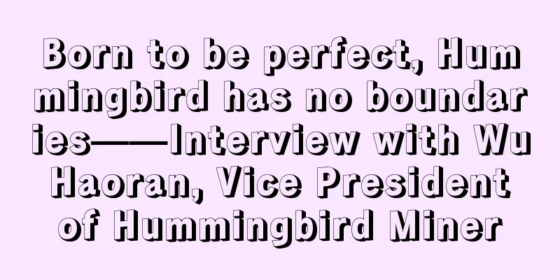 Born to be perfect, Hummingbird has no boundaries——Interview with Wu Haoran, Vice President of Hummingbird Miner