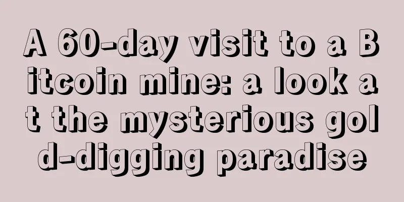 A 60-day visit to a Bitcoin mine: a look at the mysterious gold-digging paradise