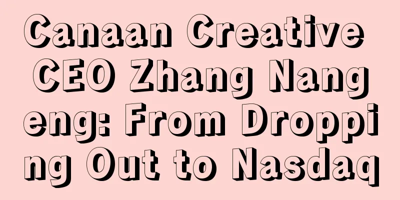 Canaan Creative CEO Zhang Nangeng: From Dropping Out to Nasdaq