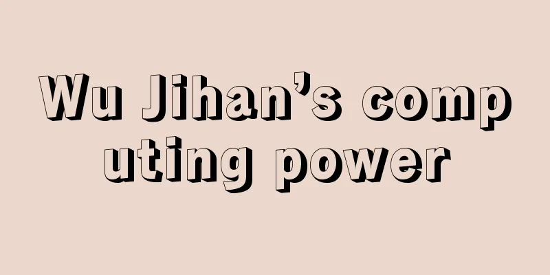 Wu Jihan’s computing power
