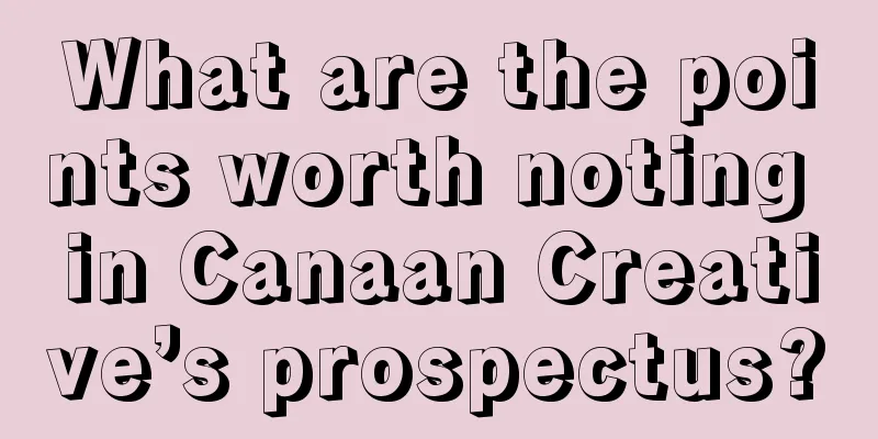 What are the points worth noting in Canaan Creative’s prospectus?