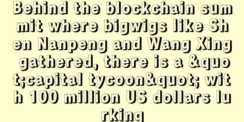 Behind the blockchain summit where bigwigs like Shen Nanpeng and Wang Xing gathered, there is a "capital tycoon" with 100 million US dollars lurking